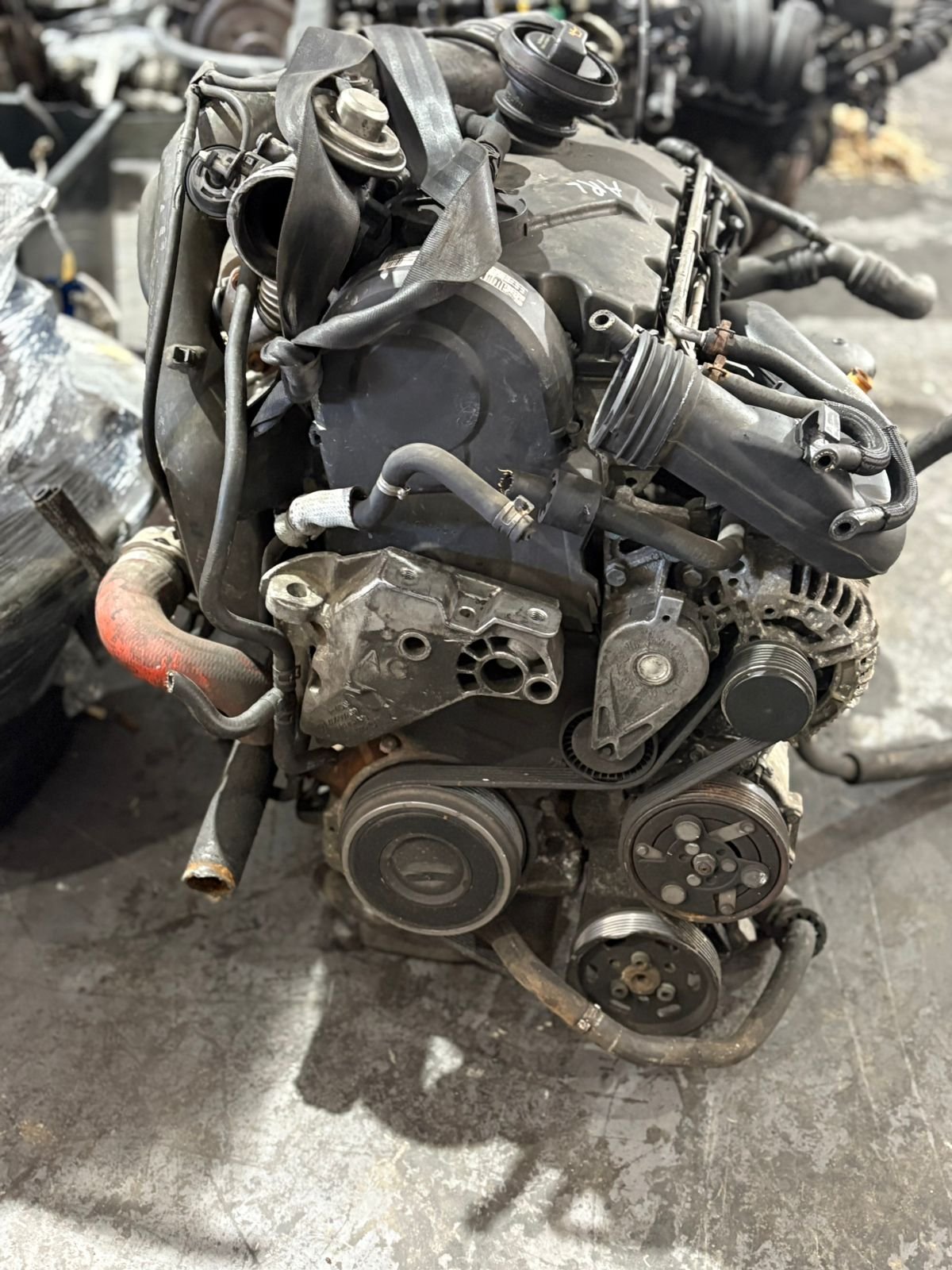 Volkswagen 1.9 TDI ARL Engine OEM