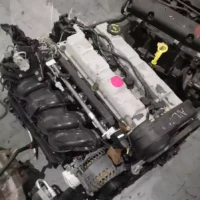 WhatsApp-Image-2024-01-08-at-20.00.49